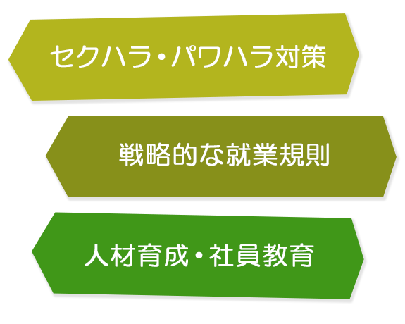 セクハラ・パワハラ対策　戦略的な就業規則　人材育成・社員教育